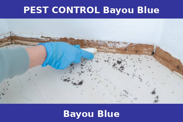 PEST CONTROL Bayou Blue